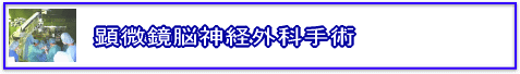 �������]�_�o�O�Ȏ�p